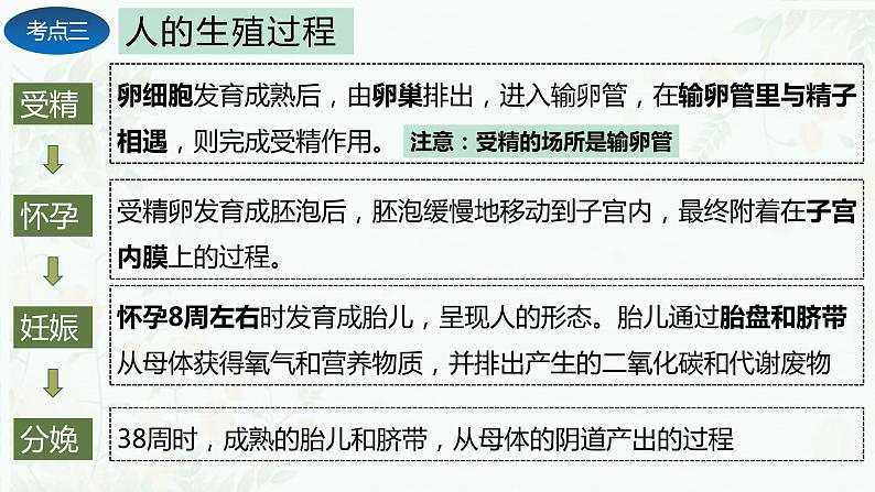 第一章 人的由来（复习课件）-2023-2024学年七年级生物下学期期末考点大串讲（人教版）06