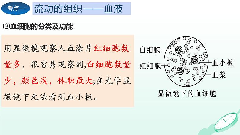 第4章 人体内物质的运输（复习课件）-2023-2024学年七年级生物下学期期末考点大串讲（人教版）05