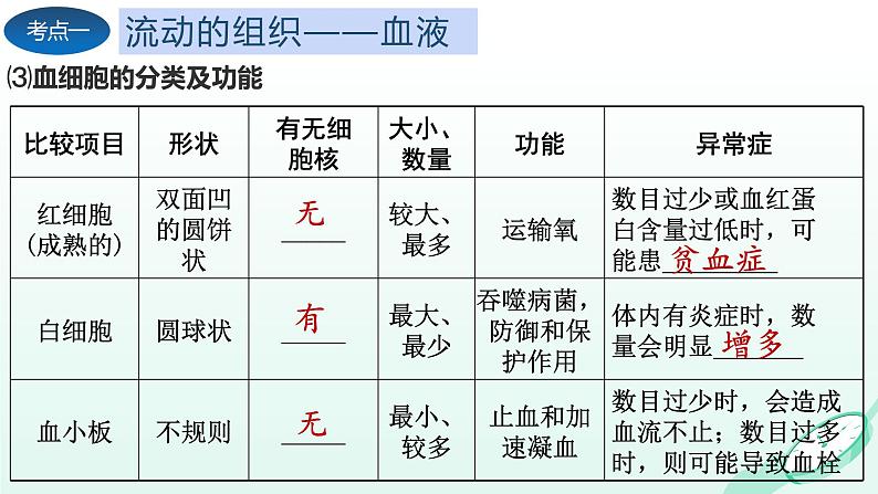 第4章 人体内物质的运输（复习课件）-2023-2024学年七年级生物下学期期末考点大串讲（人教版）06