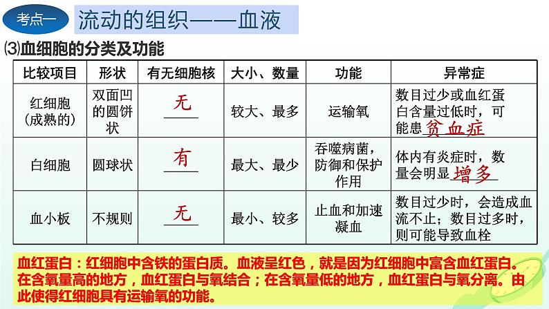 第4章 人体内物质的运输（复习课件）-2023-2024学年七年级生物下学期期末考点大串讲（人教版）07