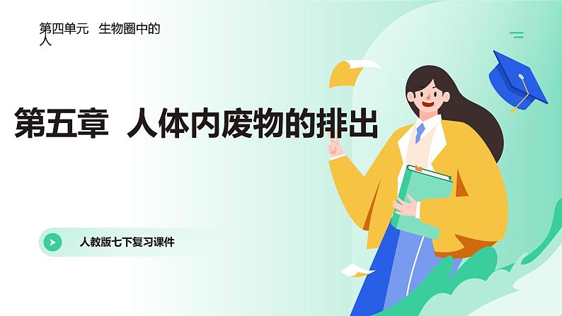 第5章 人体内废物的排出（复习课件）-2023-2024学年七年级生物下学期期末考点大串讲（人教版）01