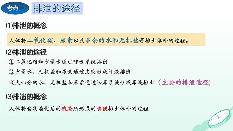 第5章 人体内废物的排出（复习课件）-2023-2024学年七年级生物下学期期末考点大串讲（人教版）03