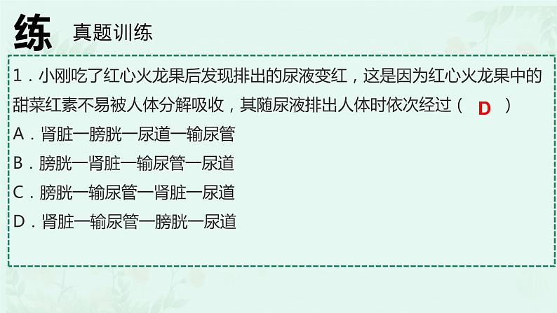 第5章 人体内废物的排出（复习课件）-2023-2024学年七年级生物下学期期末考点大串讲（人教版）05