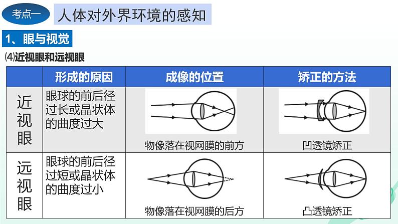 第6章 人体生命活动的调节、 第7章  人类活动对生物圈的影响（复习课件）- 2023-2024学年七年级生物下学期期末考点大串讲（人教版）06