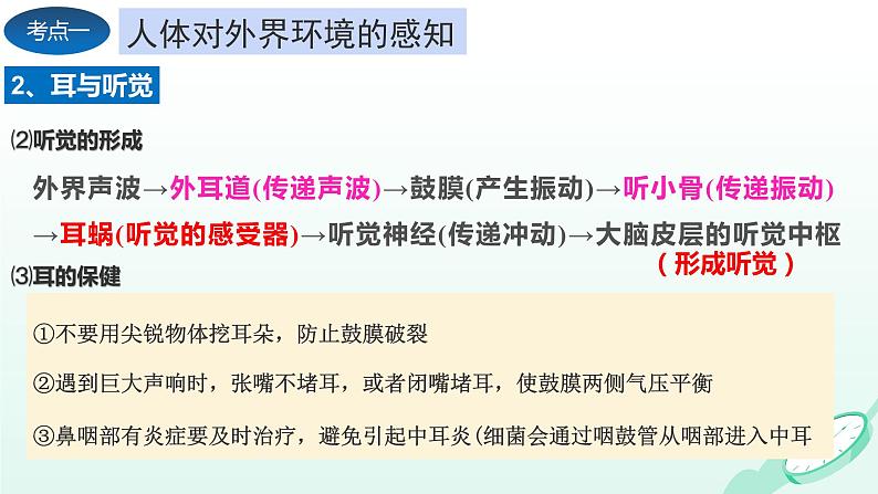 第6章 人体生命活动的调节、 第7章  人类活动对生物圈的影响（复习课件）- 2023-2024学年七年级生物下学期期末考点大串讲（人教版）08