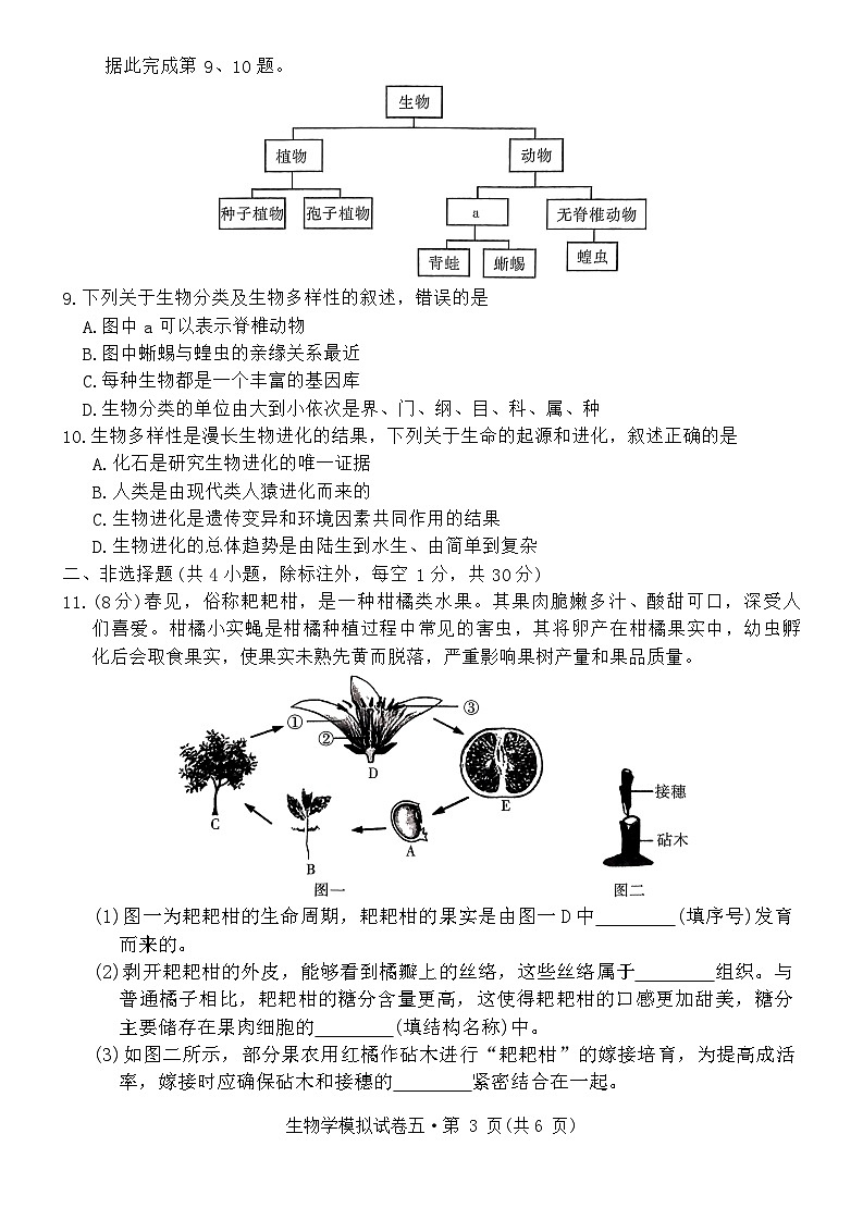 2024年湖北省初中学业水平考试生物模拟试卷五第3页