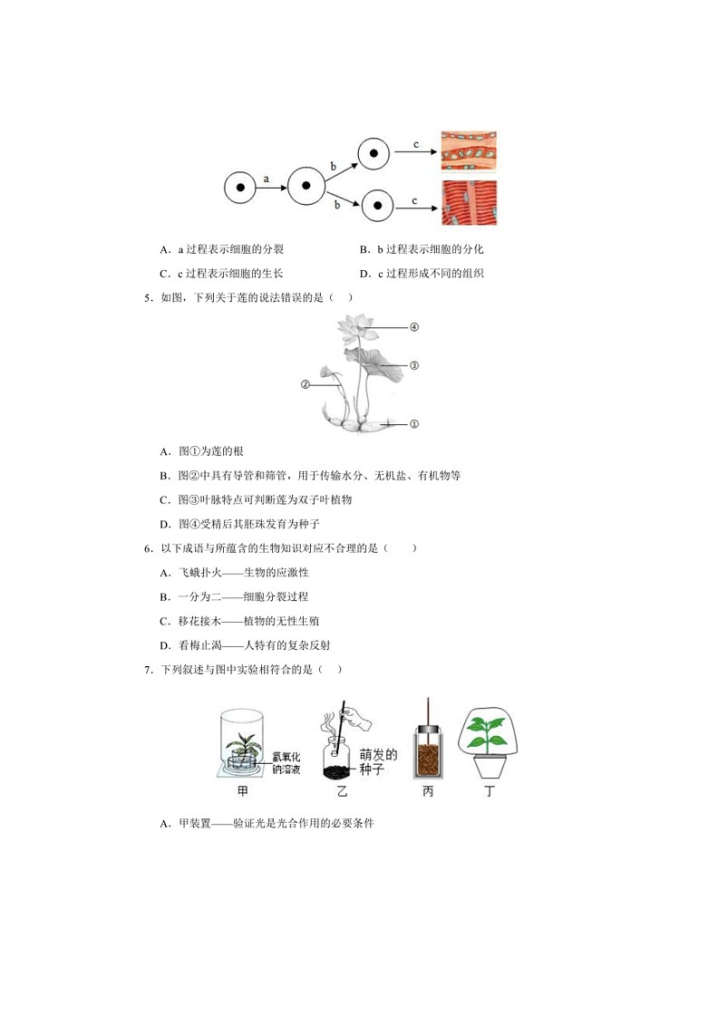 [生物]2024年湖南省益阳市大通湖管理区三校八年级中考三模生物试卷（有答案）第2页