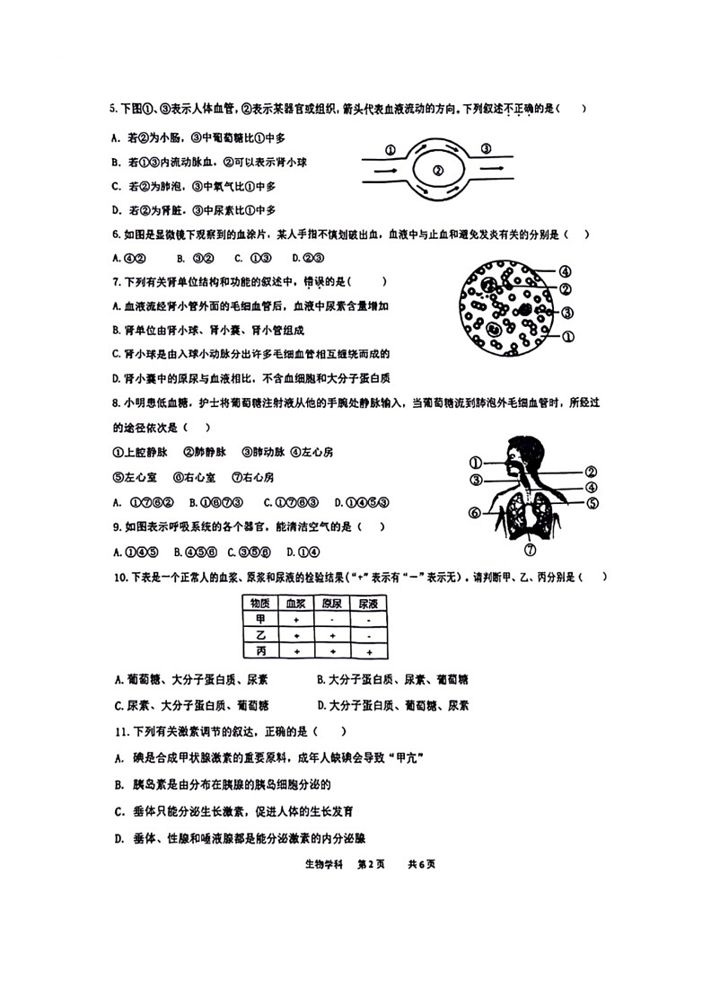[生物]辽宁省沈阳市虹桥初级中学2023～2024学年七年级下学期6月考生物试题（有答案）(2)第2页