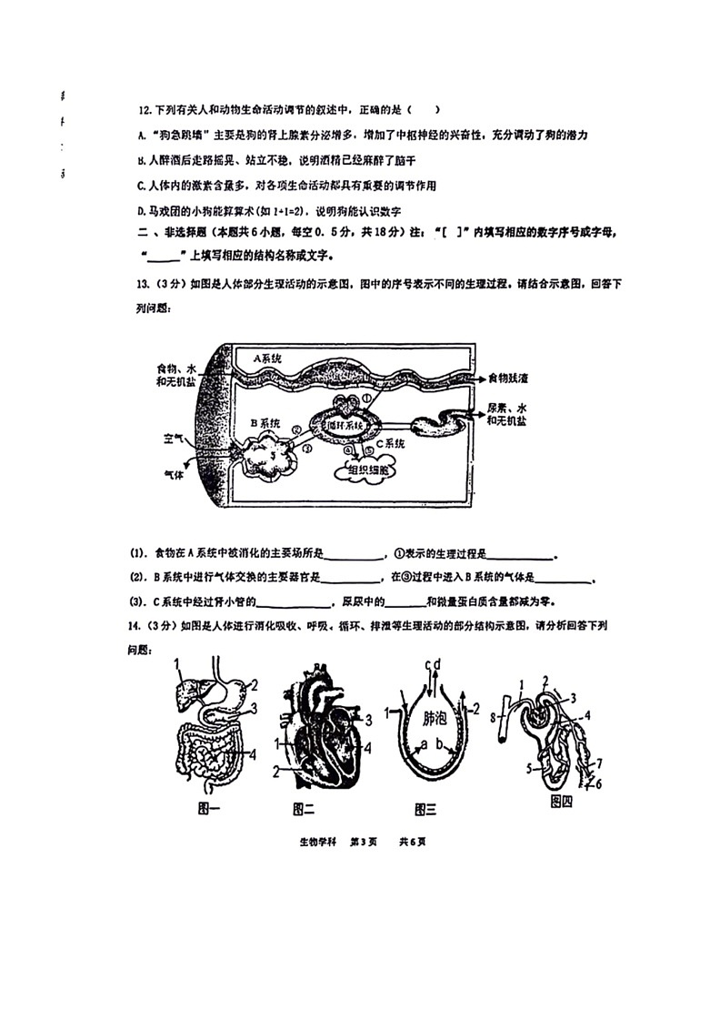 [生物]辽宁省沈阳市虹桥初级中学2023～2024学年七年级下学期6月考生物试题（有答案）(2)第3页