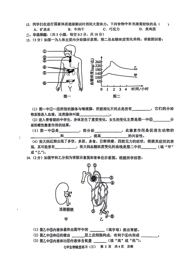 [生物]辽宁省沈阳市康平县2023～2024学年七年级下学期第三次月考生物试卷（有答案）(2)02
