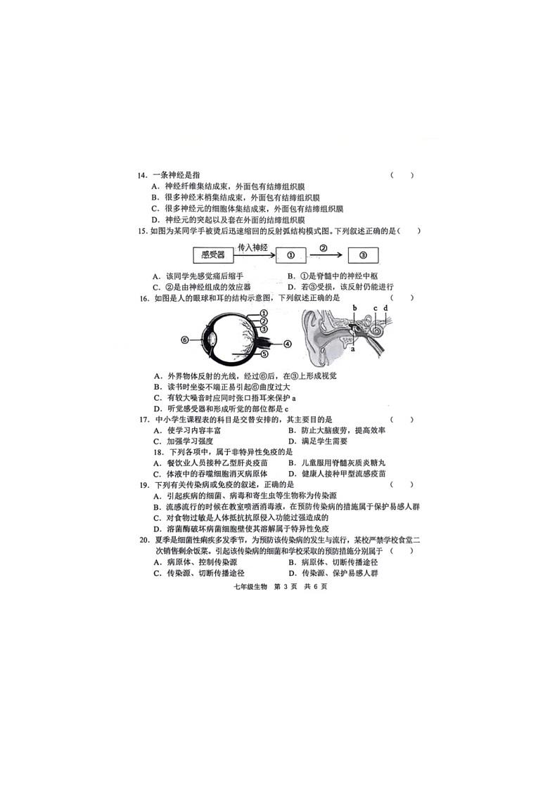 [生物]山东省菏泽市鲁西新区2023～2024学年七年级下学期第二次月考（6月）生物试题（无答案）第3页