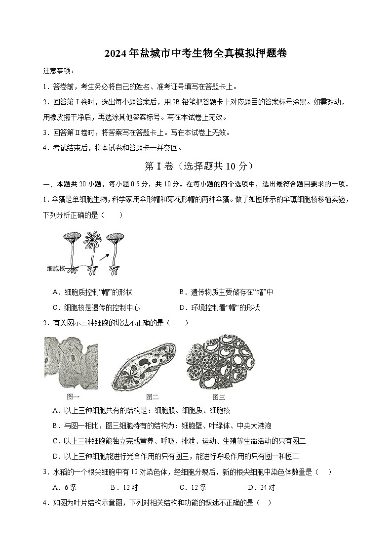 2024年盐城市中考生物全真模拟押题卷（含答案解析）第1页