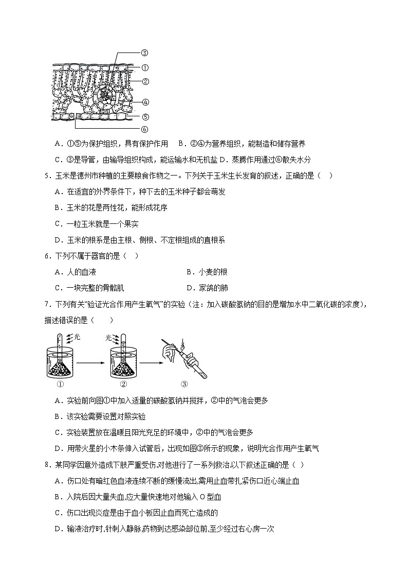 2024年盐城市中考生物全真模拟押题卷（含答案解析）第2页