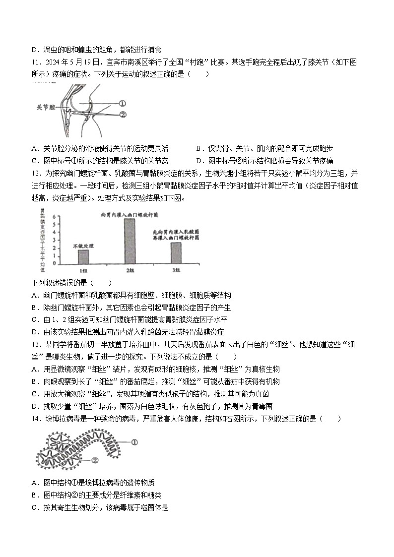 2024年四川省宜宾市中考生物试题(无答案)03