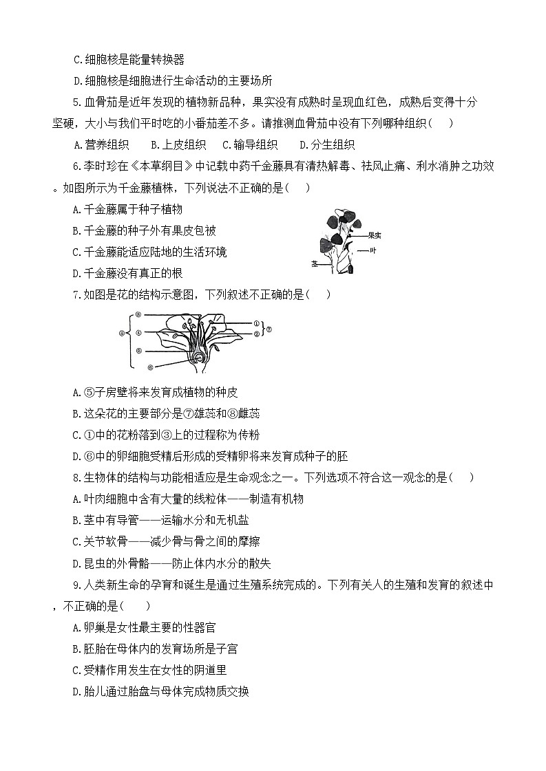 2024年河南省周口市项城市新华学校等校联考中考三模生物试题02