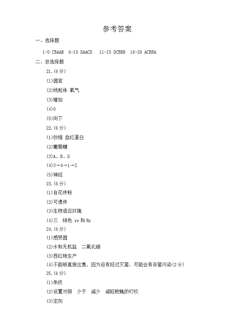 2024年河南省周口市项城市新华学校等校联考中考三模生物试题01