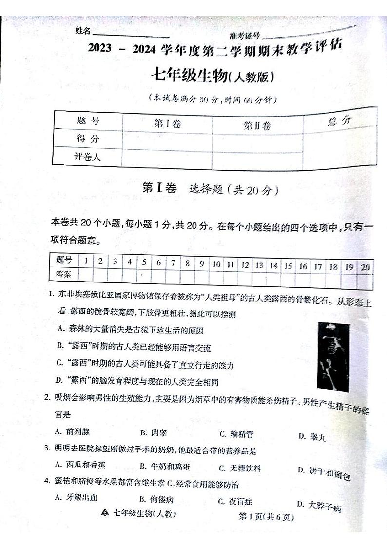山西省吕梁市汾阳市海洪初级中学校2023-2024学年七年级下学期6月期末生物试题01