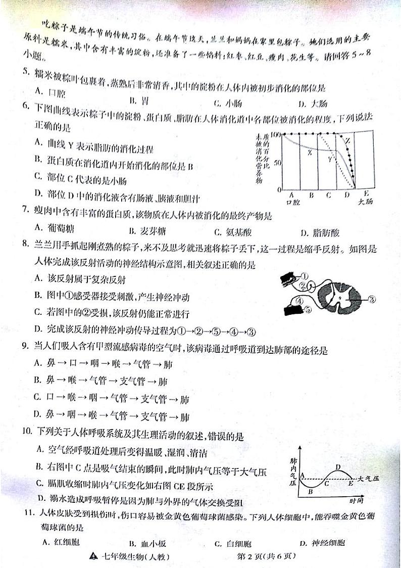 山西省吕梁市汾阳市海洪初级中学校2023-2024学年七年级下学期6月期末生物试题02