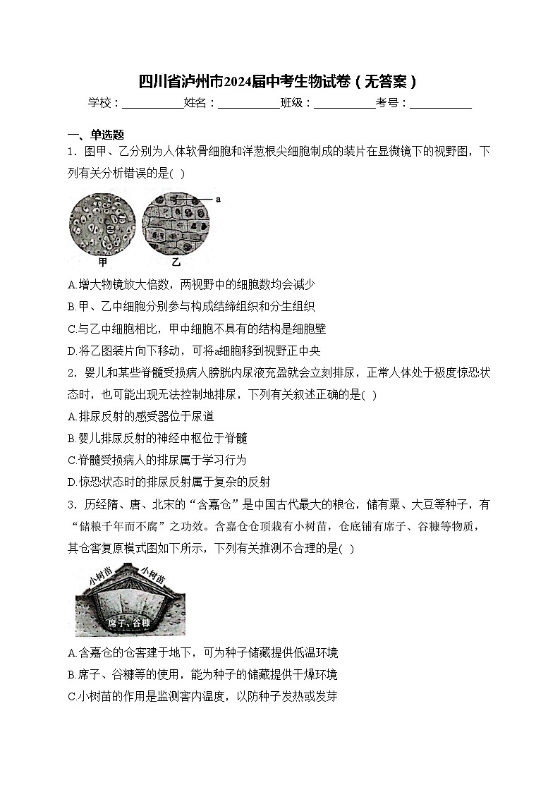 四川省泸州市2024届中考生物试卷（无答案）01