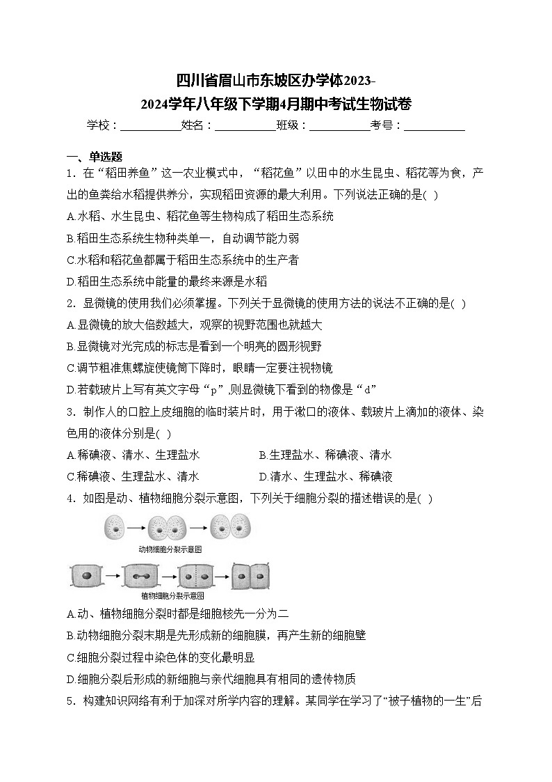 四川省眉山市东坡区办学体2023-2024学年八年级下学期4月期中考试生物试卷(含答案)01