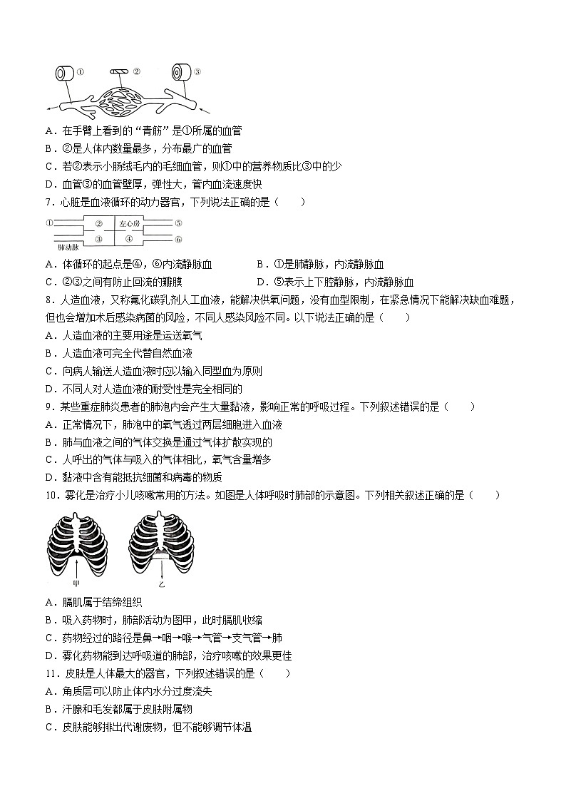 河南省新乡市卫辉市2023-2024学年七年级下学期6月期末生物试题(无答案)02