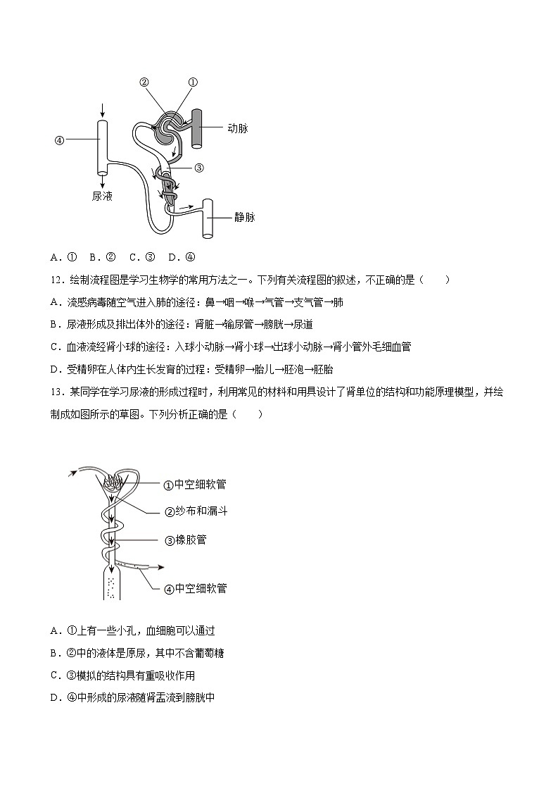 第5章  人体内废物的排出【考题猜想】-2023-2024学年七年级生物下学期期末考点大串讲（人教版）03