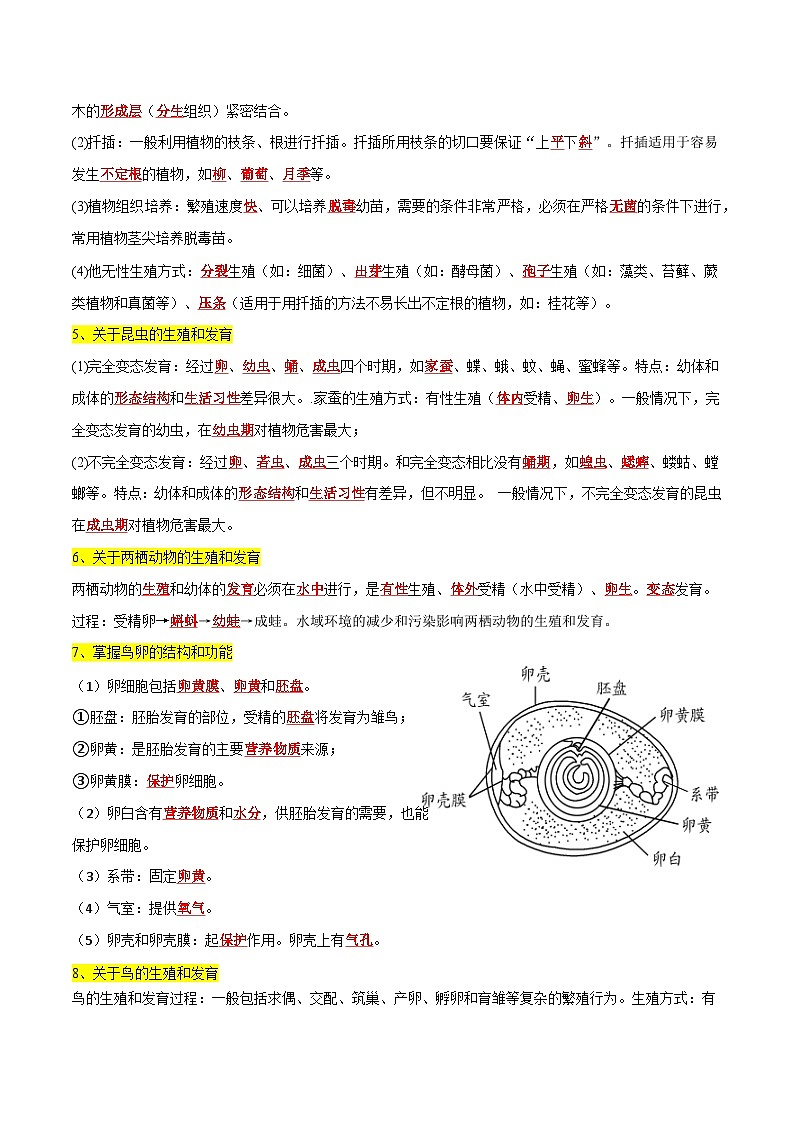 专题06 生物的遗传和进化（必刷75题）-备战2024年中考生物一轮复习考点归纳与解题技巧（原卷版）第3页