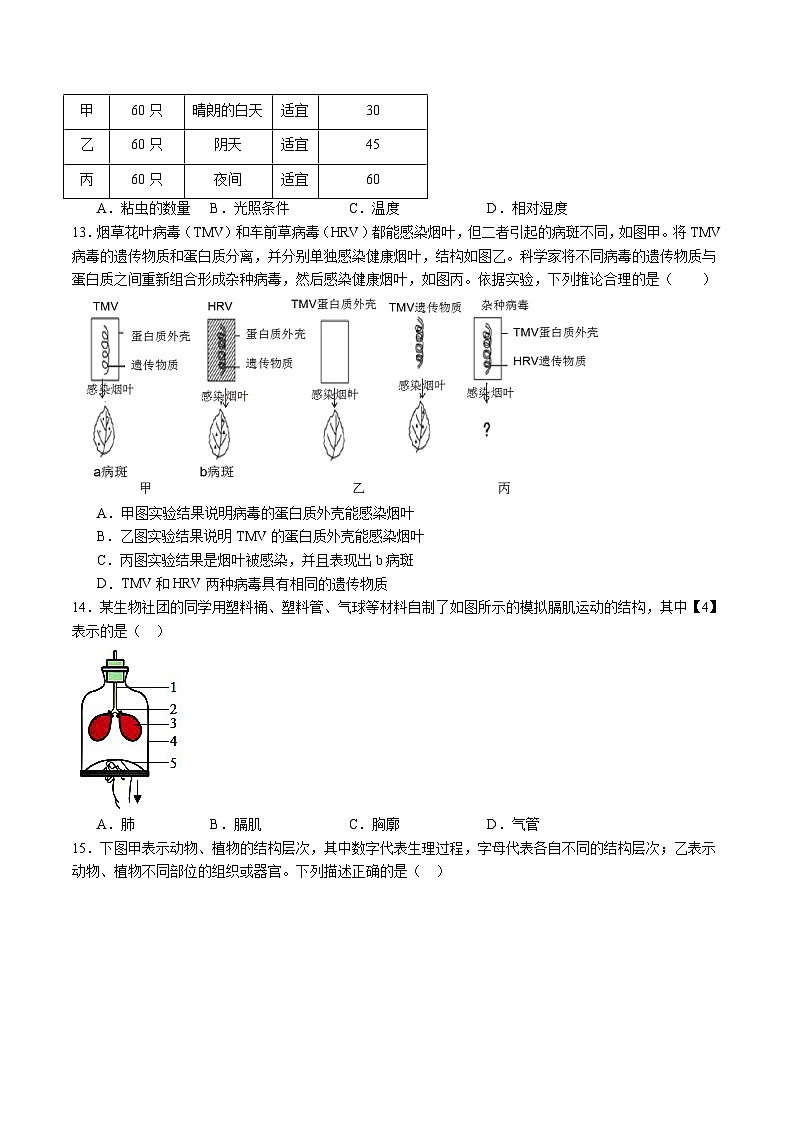 卷01-【临考满分】2024年中考生物临考满分卷（云南卷）（试卷版）第3页