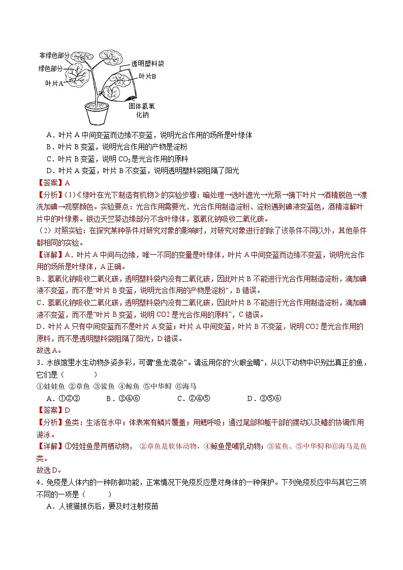 卷04-【临考满分】2024年中考生物临考满分卷（云南卷）（解析版）第2页