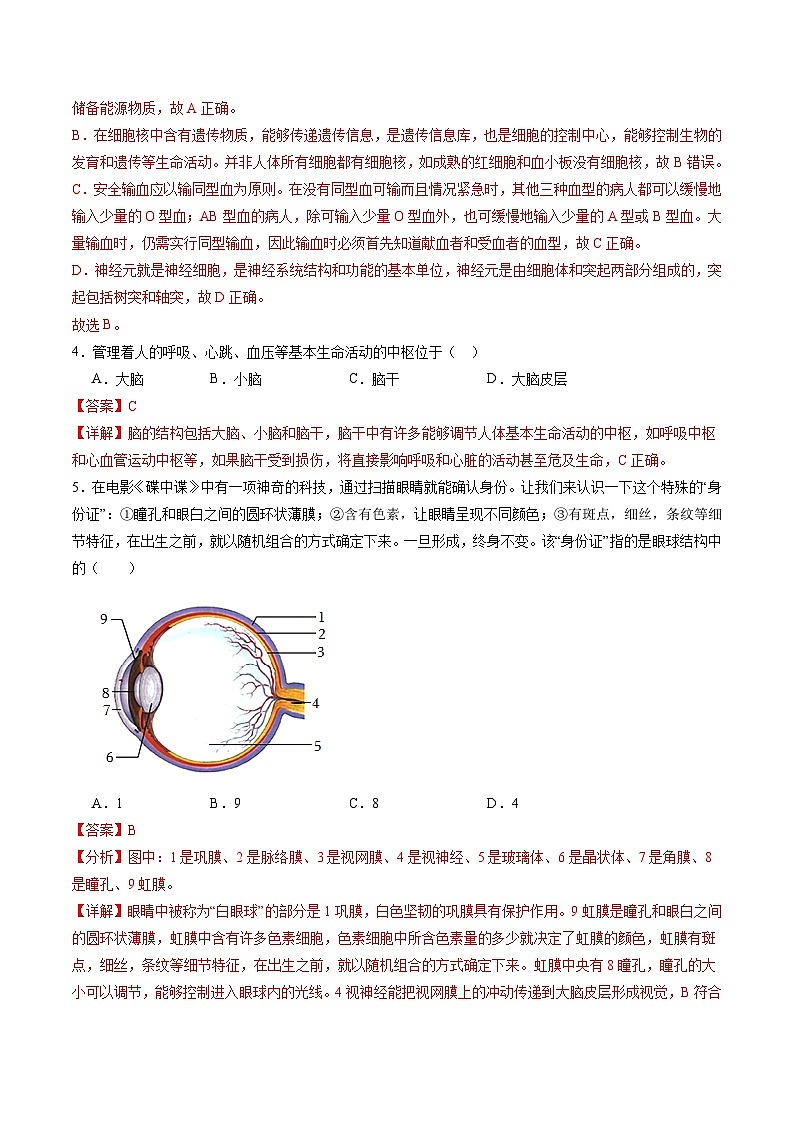 期末冲刺卷01- 2023-2024学年七年级生物下学期期末考点大串讲（人教版）02