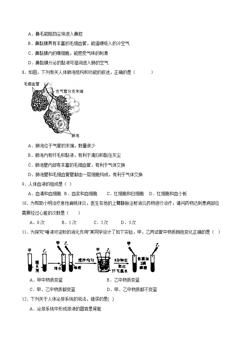 期末冲刺卷01- 2023-2024学年七年级生物下学期期末考点大串讲（人教版）02