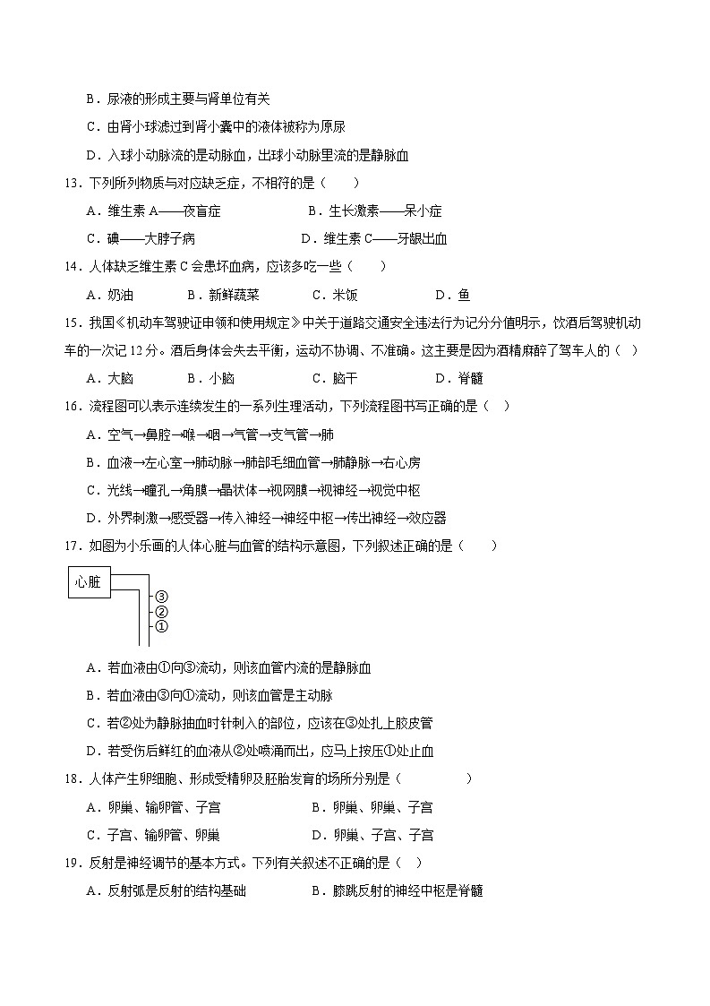期末冲刺卷01- 2023-2024学年七年级生物下学期期末考点大串讲（人教版）03