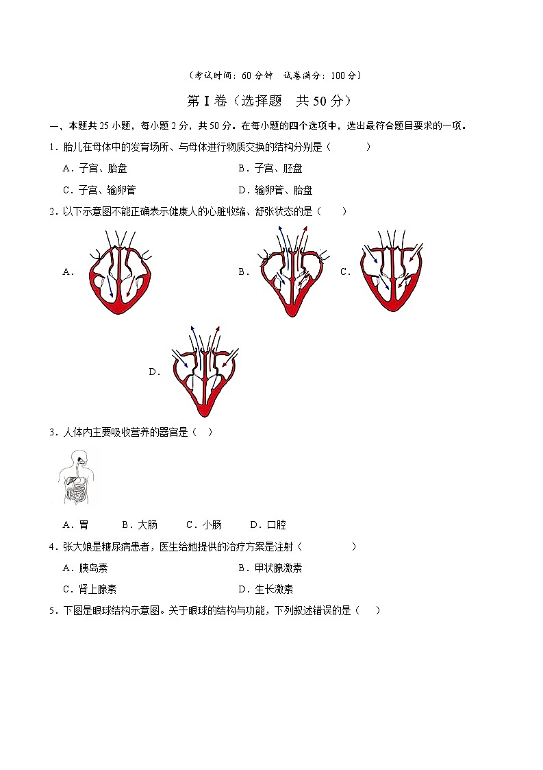 期末冲刺卷02- 2023-2024学年七年级生物下学期期末考点大串讲（人教版）01