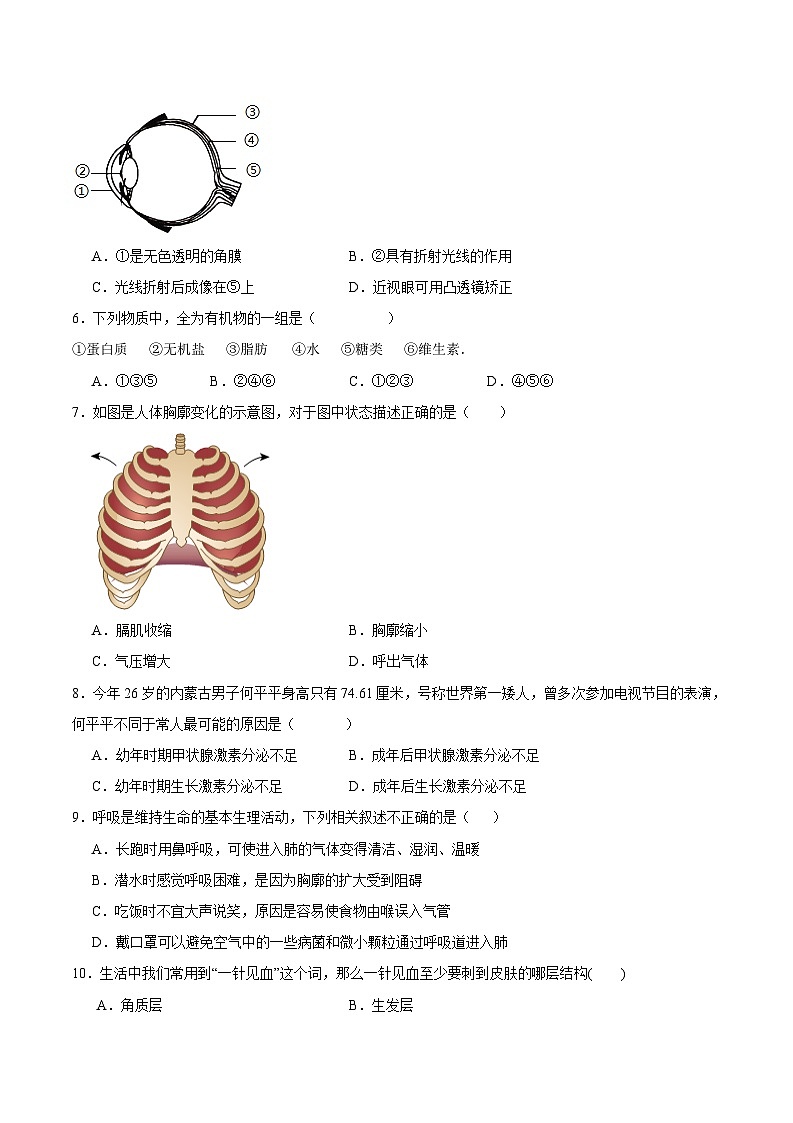期末冲刺卷02- 2023-2024学年七年级生物下学期期末考点大串讲（人教版）02