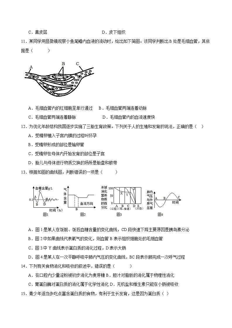 期末冲刺卷02- 2023-2024学年七年级生物下学期期末考点大串讲（人教版）03