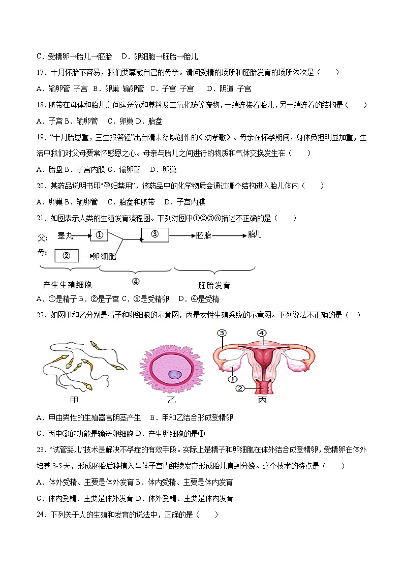 第1章  人的由来【考题猜想】-2023-2024学年七年级生物下学期期末考点大串讲（人教版）03