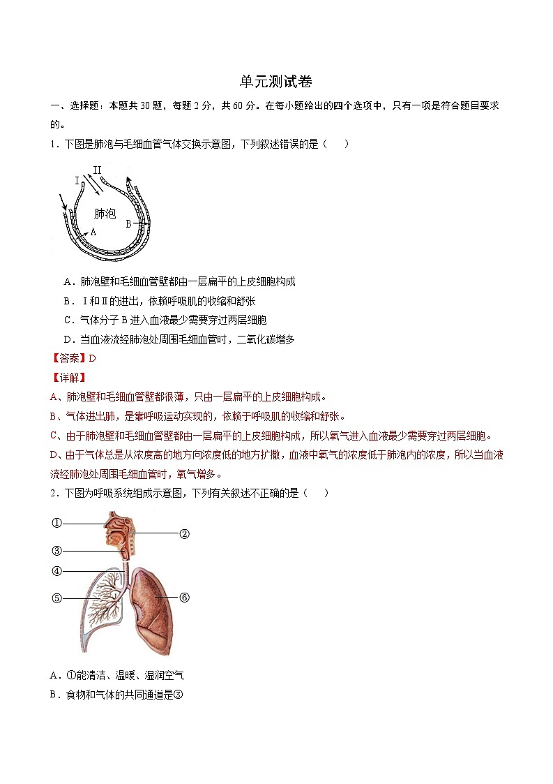 第3章  人体的呼吸【考题猜想】-2023-2024学年七年级生物下学期期末考点大串讲（人教版）01