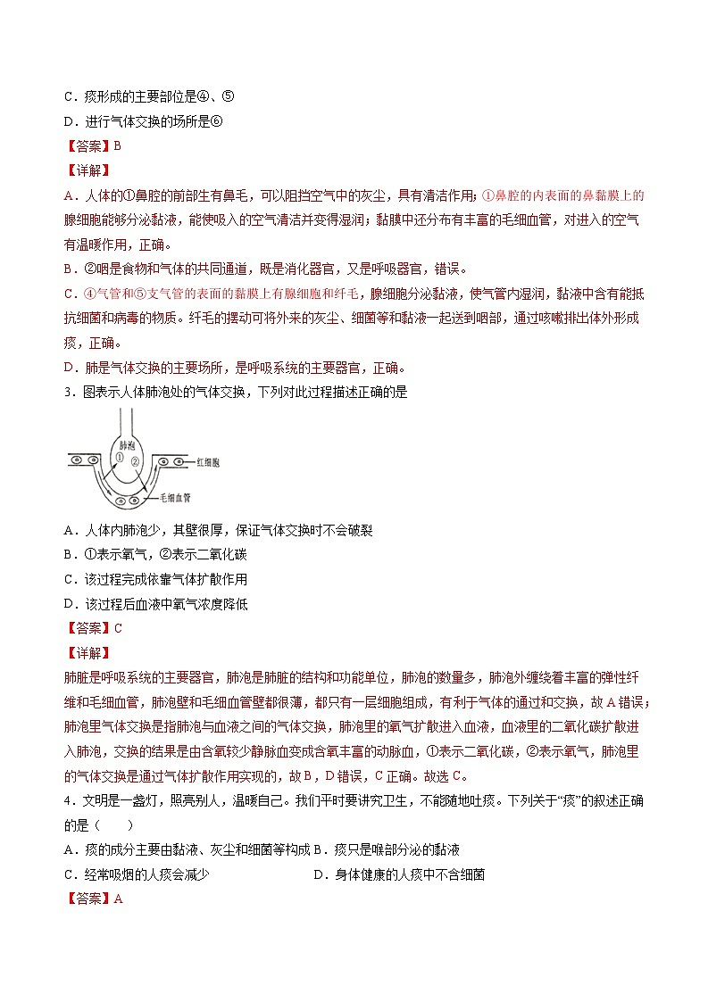第3章  人体的呼吸【考题猜想】-2023-2024学年七年级生物下学期期末考点大串讲（人教版）02