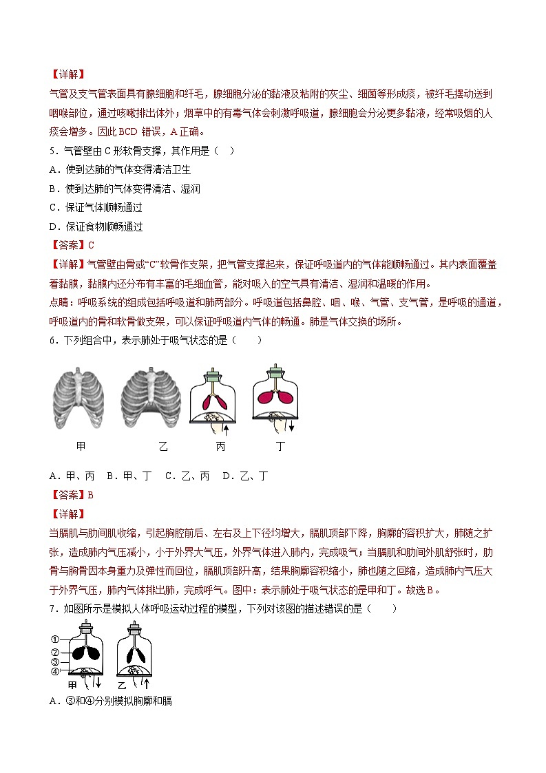 第3章  人体的呼吸【考题猜想】-2023-2024学年七年级生物下学期期末考点大串讲（人教版）03