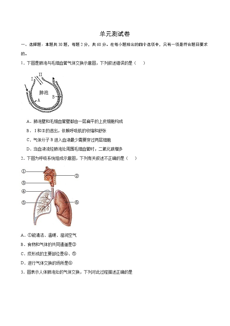 第3章  人体的呼吸【考题猜想】-2023-2024学年七年级生物下学期期末考点大串讲（人教版）01