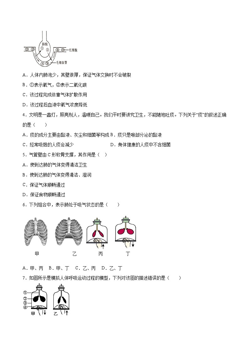第3章  人体的呼吸【考题猜想】-2023-2024学年七年级生物下学期期末考点大串讲（人教版）02
