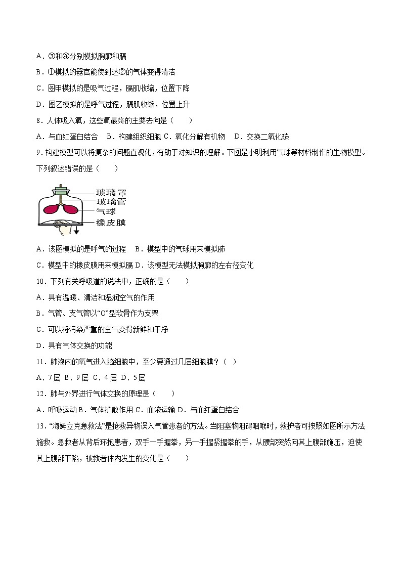 第3章  人体的呼吸【考题猜想】-2023-2024学年七年级生物下学期期末考点大串讲（人教版）03