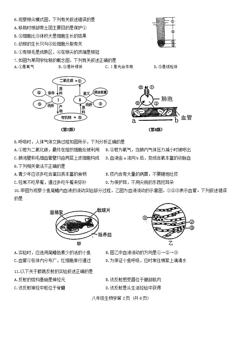 2024年吉林省长春汽车经济技术开发区中考模拟综合练习（二模）生物学试卷02