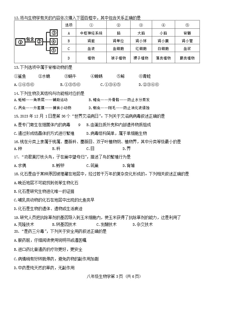 2024年吉林省长春汽车经济技术开发区中考模拟综合练习（二模）生物学试卷03