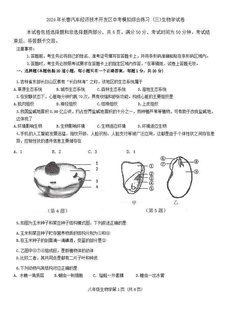 2024年吉林省长春汽车经济技术开发区中考模拟综合练习（三模）生物学试卷第1页