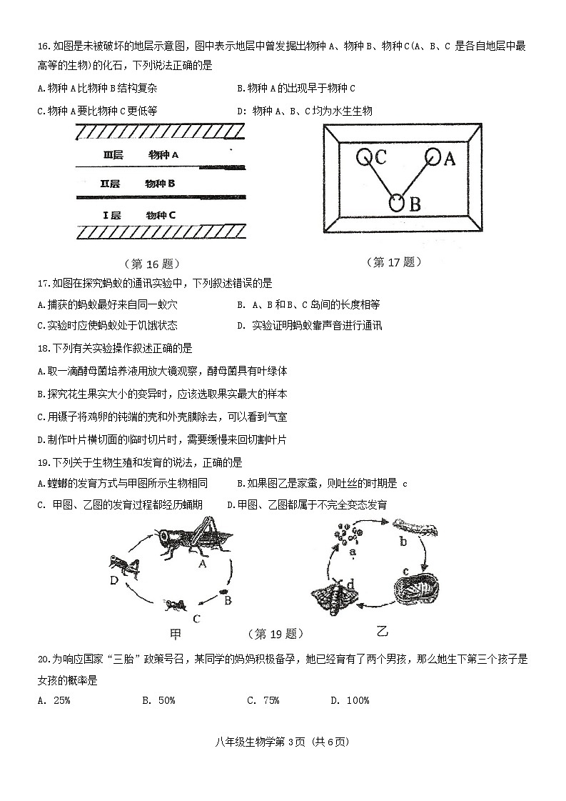 2024年吉林省长春汽车经济技术开发区中考模拟综合练习（三模）生物学试卷第3页