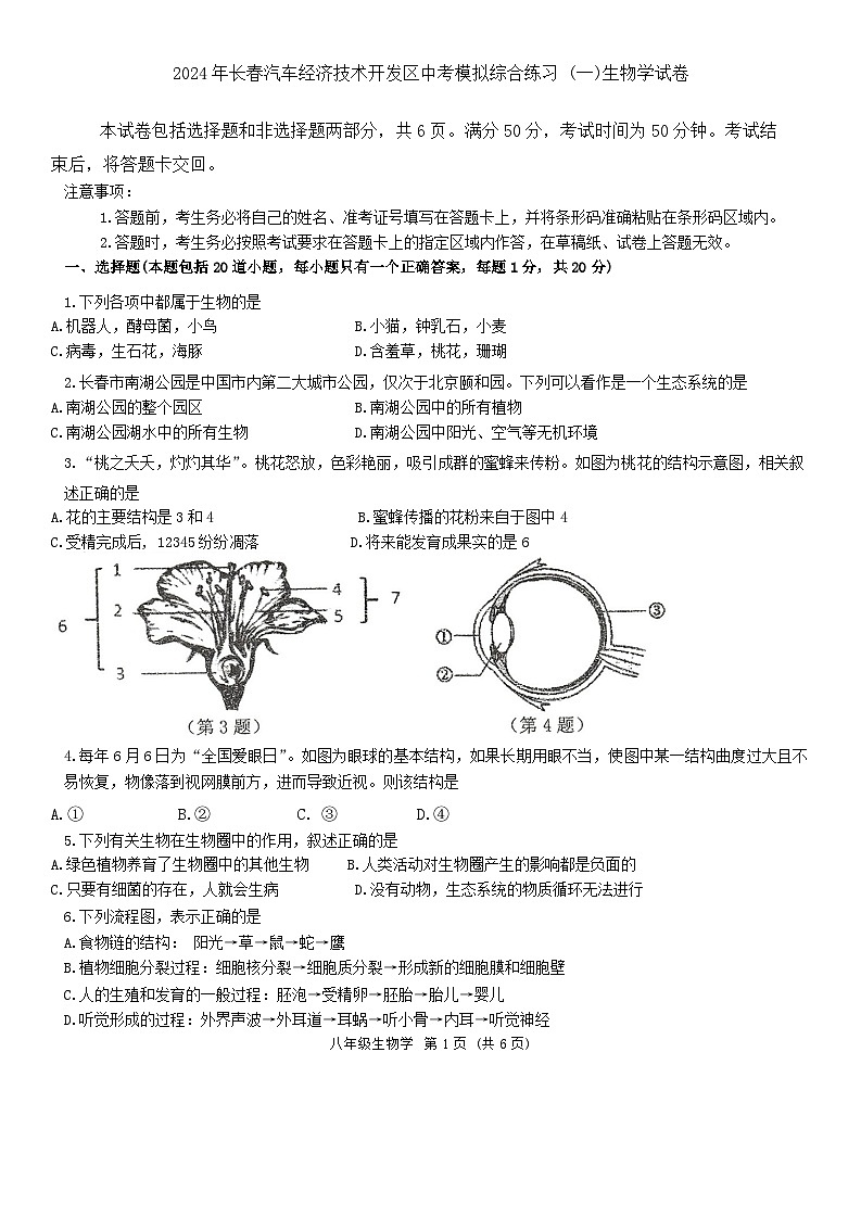 2024年吉林省长春汽车经济技术开发区中考模拟综合练习（一模）生物学试卷01