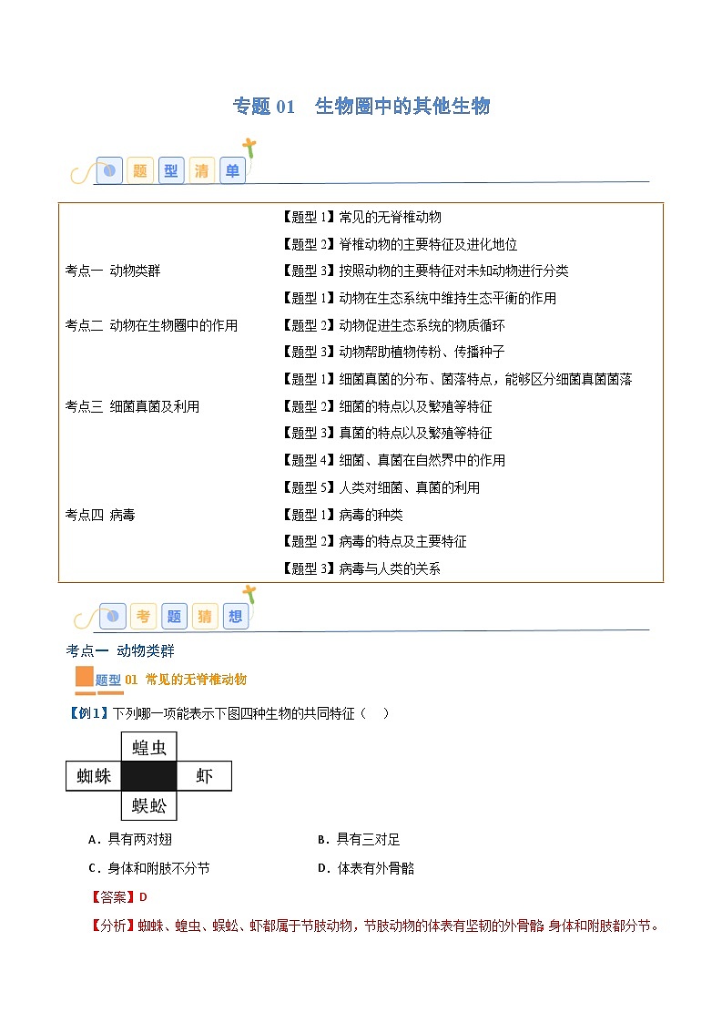 八年级生物上期末 专题01 生物圈中的其他生物（考题猜想）（原卷版+解析版）01