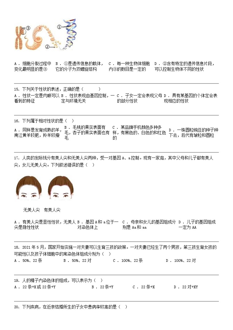 [生物]安徽省合肥市智育联盟2023-2024学年八年级下学期生物期中试题03