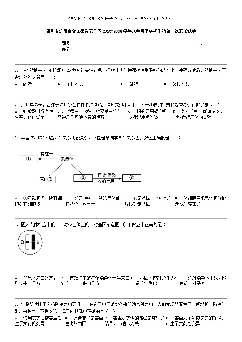 [生物]四川省泸州市合江县第五片区2023-2024学年八年级下学期生物第一次联考期中试卷01